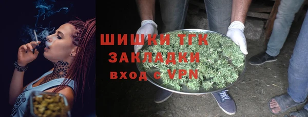 Альфа ПВП Аркадак