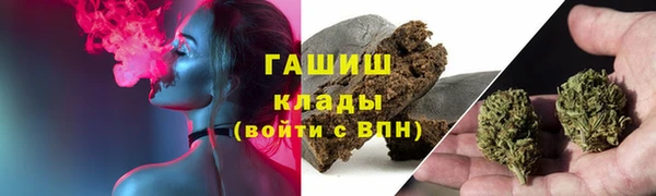 Альфа ПВП Аркадак